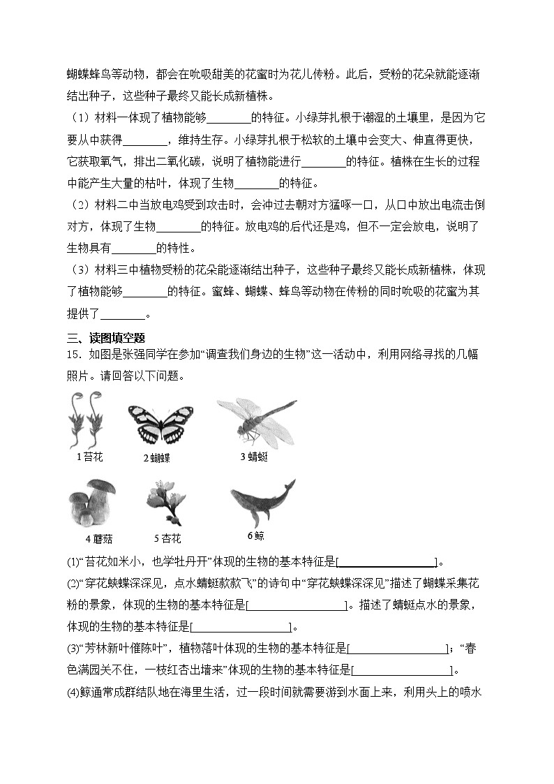 1.1.2生物的特征——人教版（2024）七年级生物上册同步课时作业第3页