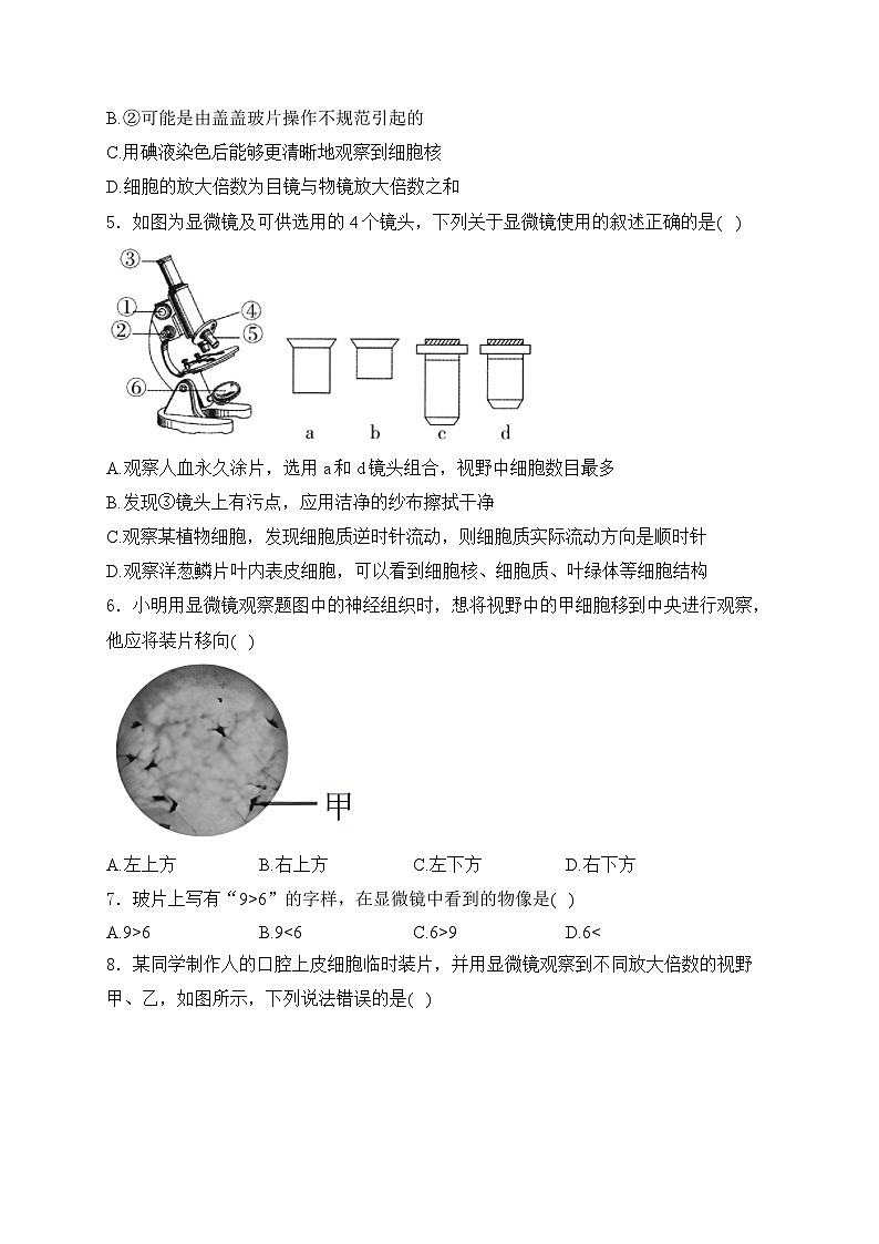 1.2.1学习使用显微镜——人教版（2024）七年级生物上册同步课时作业第2页