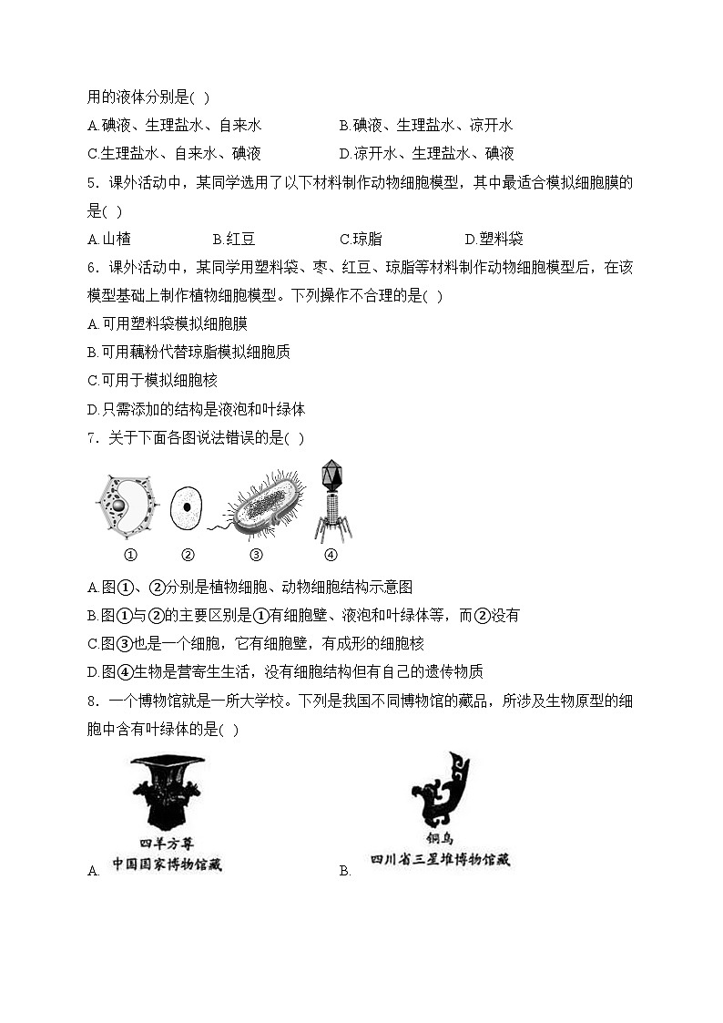 1.2.3动物细胞——人教版（2024）七年级生物上册同步课时作业第2页