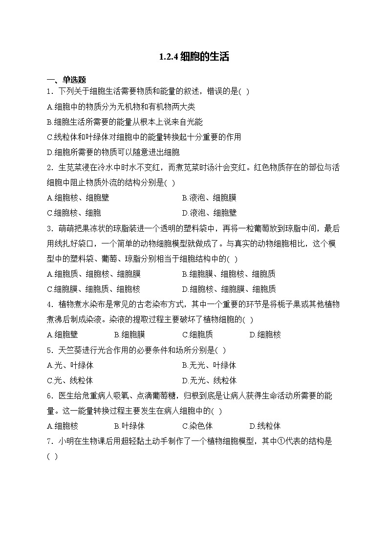 1.2.4细胞的生活——人教版（2024）七年级生物上册同步课时作业第1页
