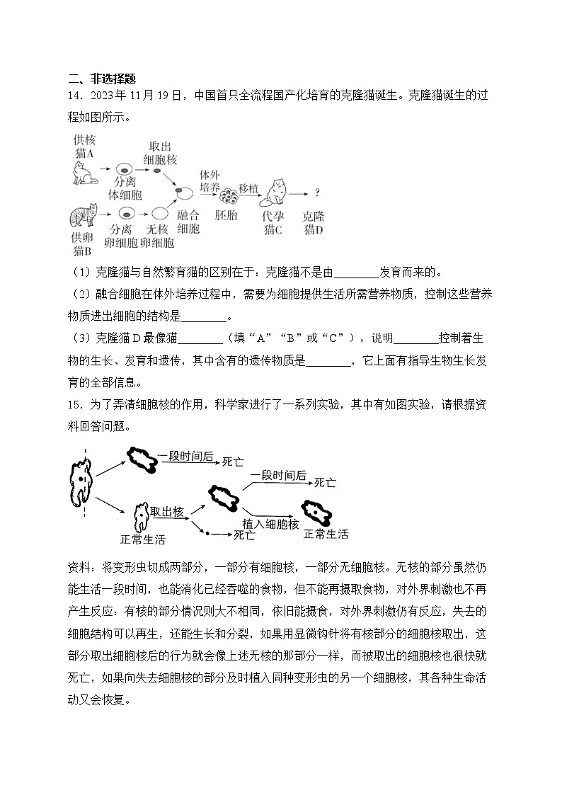 1.2.4细胞的生活——人教版（2024）七年级生物上册同步课时作业第3页