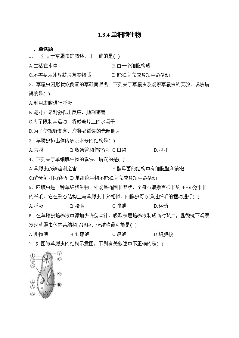 1.3.4单细胞生物——人教版（2024）七年级生物上册同步课时作业01