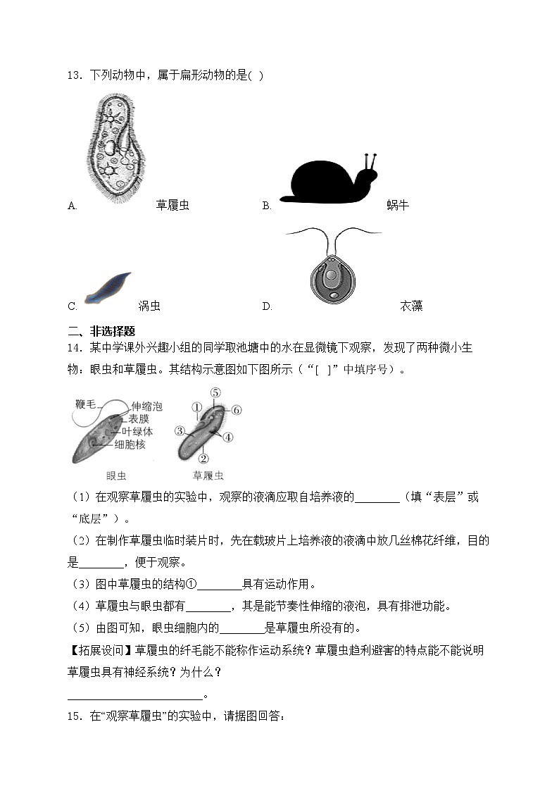 1.3.4单细胞生物——人教版（2024）七年级生物上册同步课时作业03