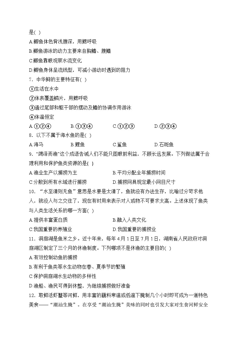 2.2.2.1鱼——人教版（2024）七年级生物上册同步课时作业02