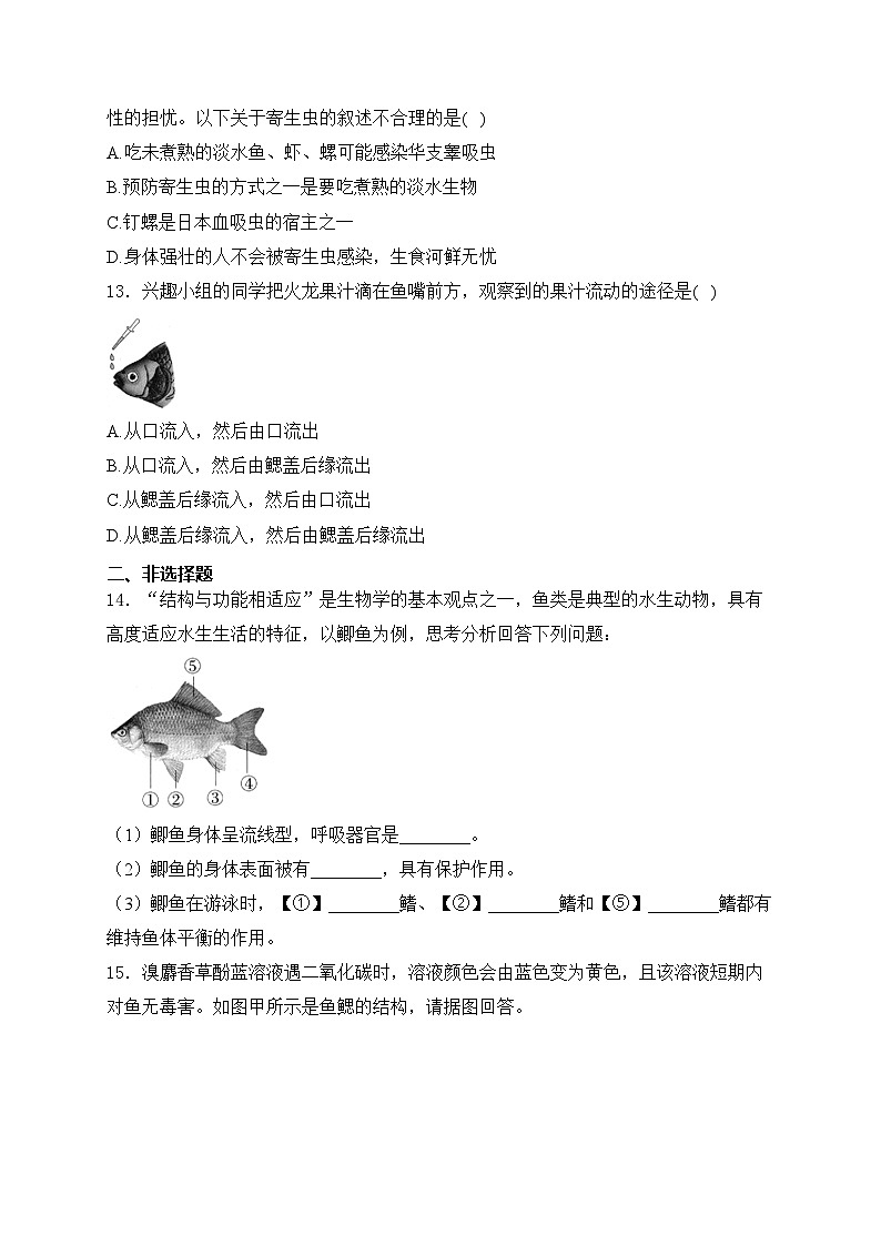 2.2.2.1鱼——人教版（2024）七年级生物上册同步课时作业03
