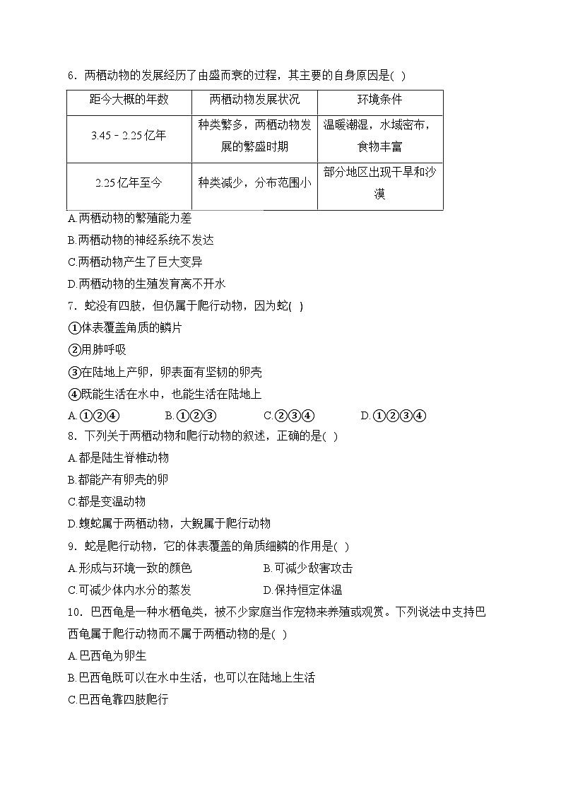 2.2.2.2两栖动物和爬行动物——人教版（2024）七年级生物上册同步课时作业02