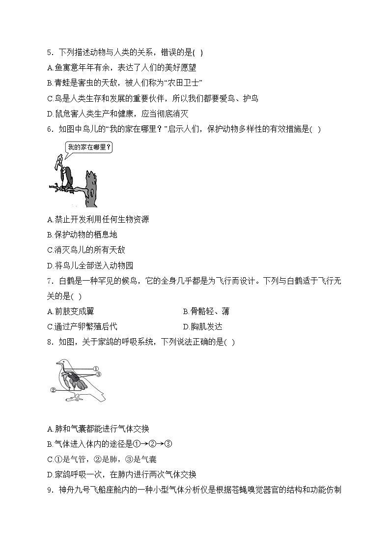 2.2.2.3鸟和哺乳动物——人教版（2024）七年级生物上册同步课时作业02