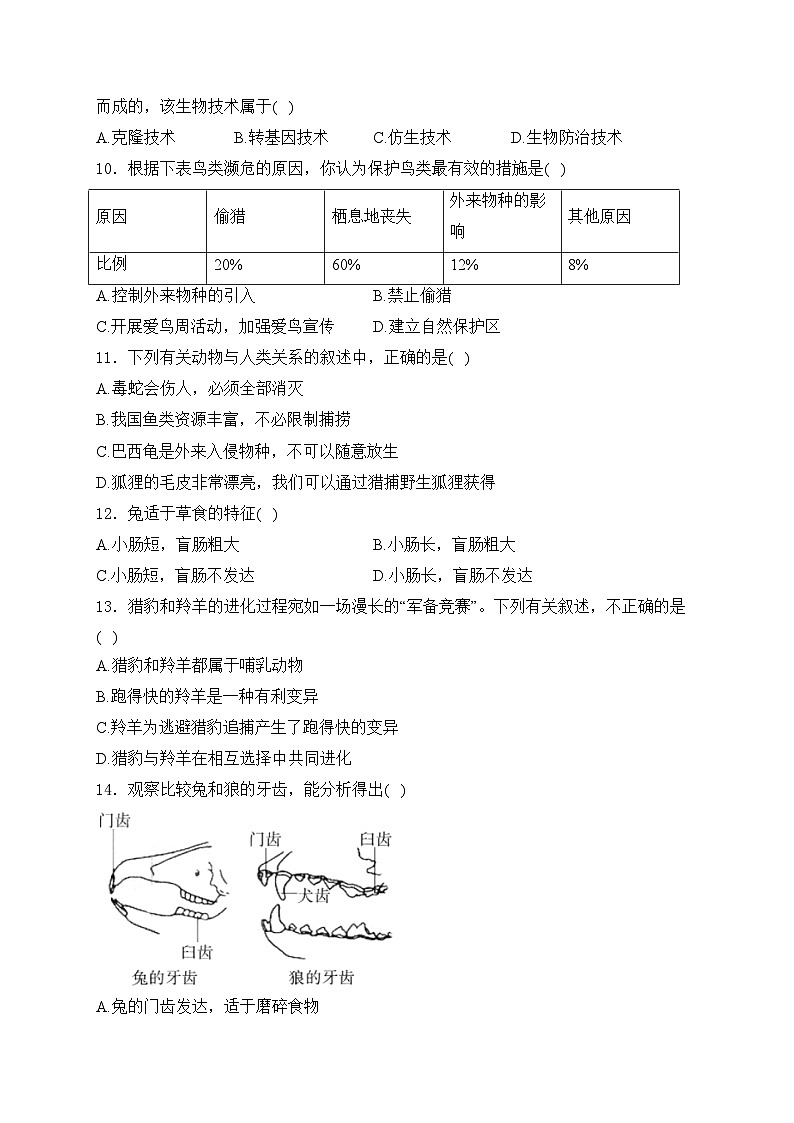 2.2.2.3鸟和哺乳动物——人教版（2024）七年级生物上册同步课时作业03