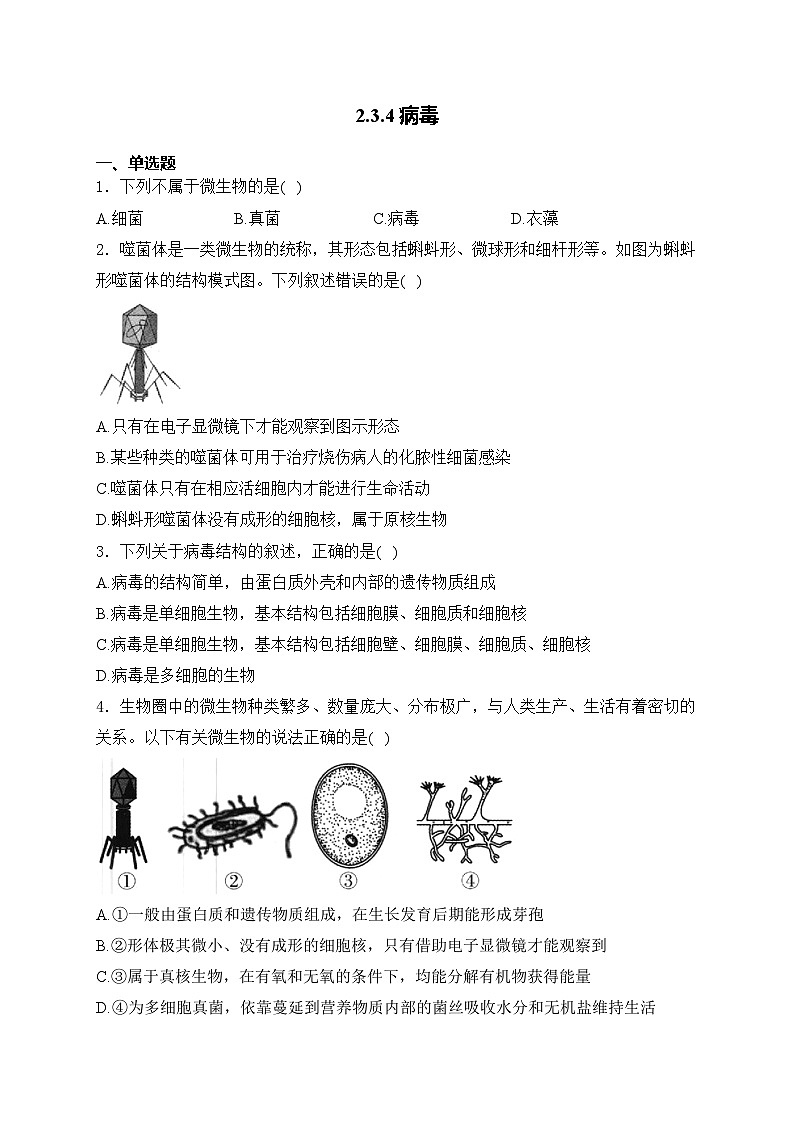 2.3.4病毒——人教版（2024）七年级生物上册同步课时作业第1页