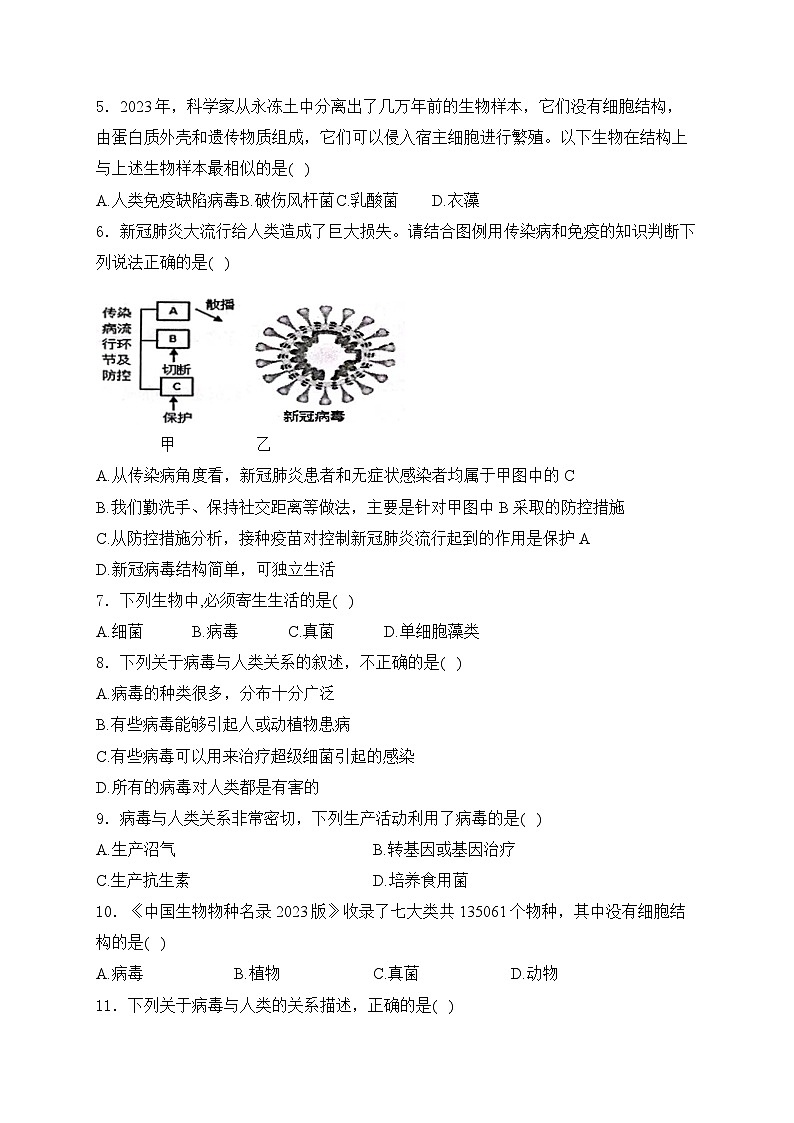 2.3.4病毒——人教版（2024）七年级生物上册同步课时作业第2页