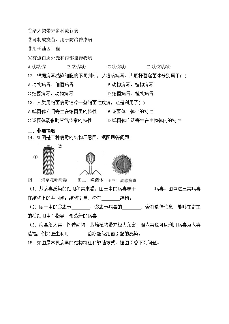 2.3.4病毒——人教版（2024）七年级生物上册同步课时作业第3页