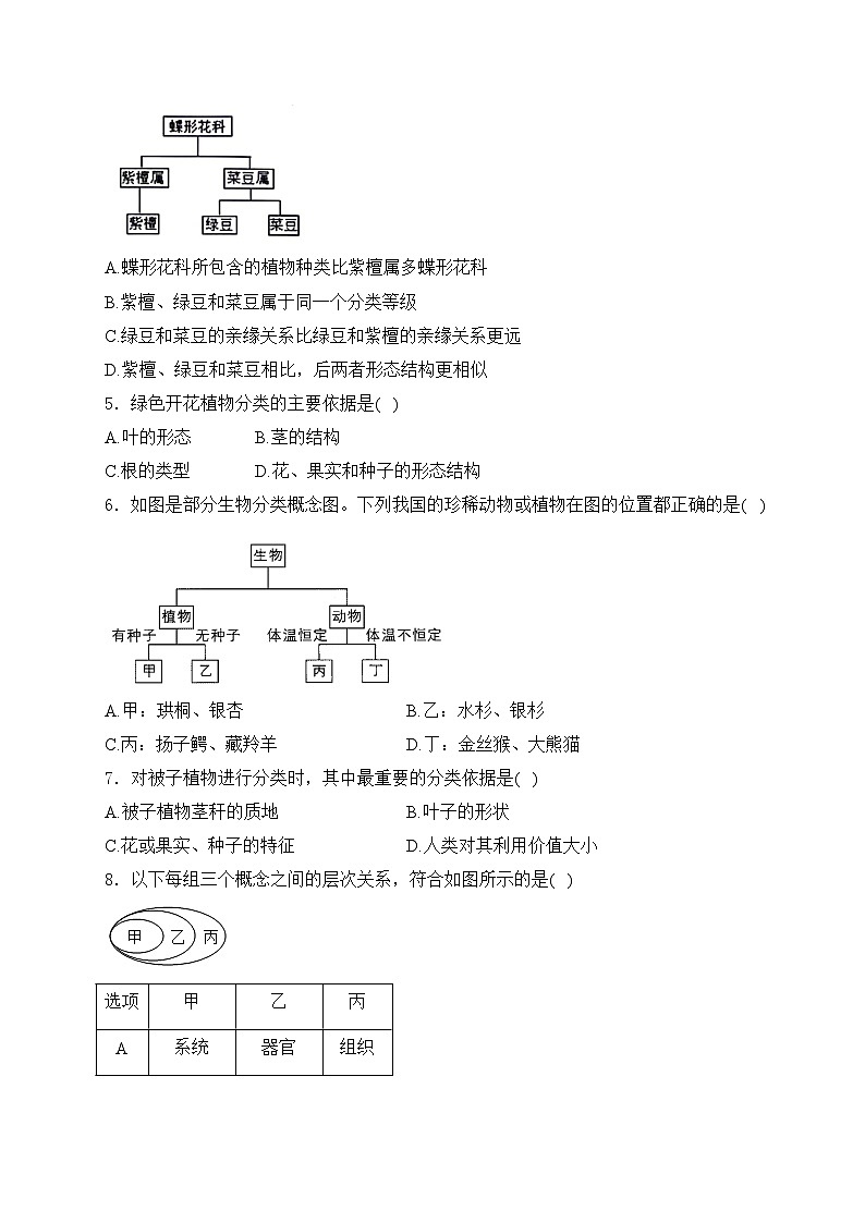2.4.1 尝试对生物进行分类——人教版（2024）七年级生物上册同步课时作业02