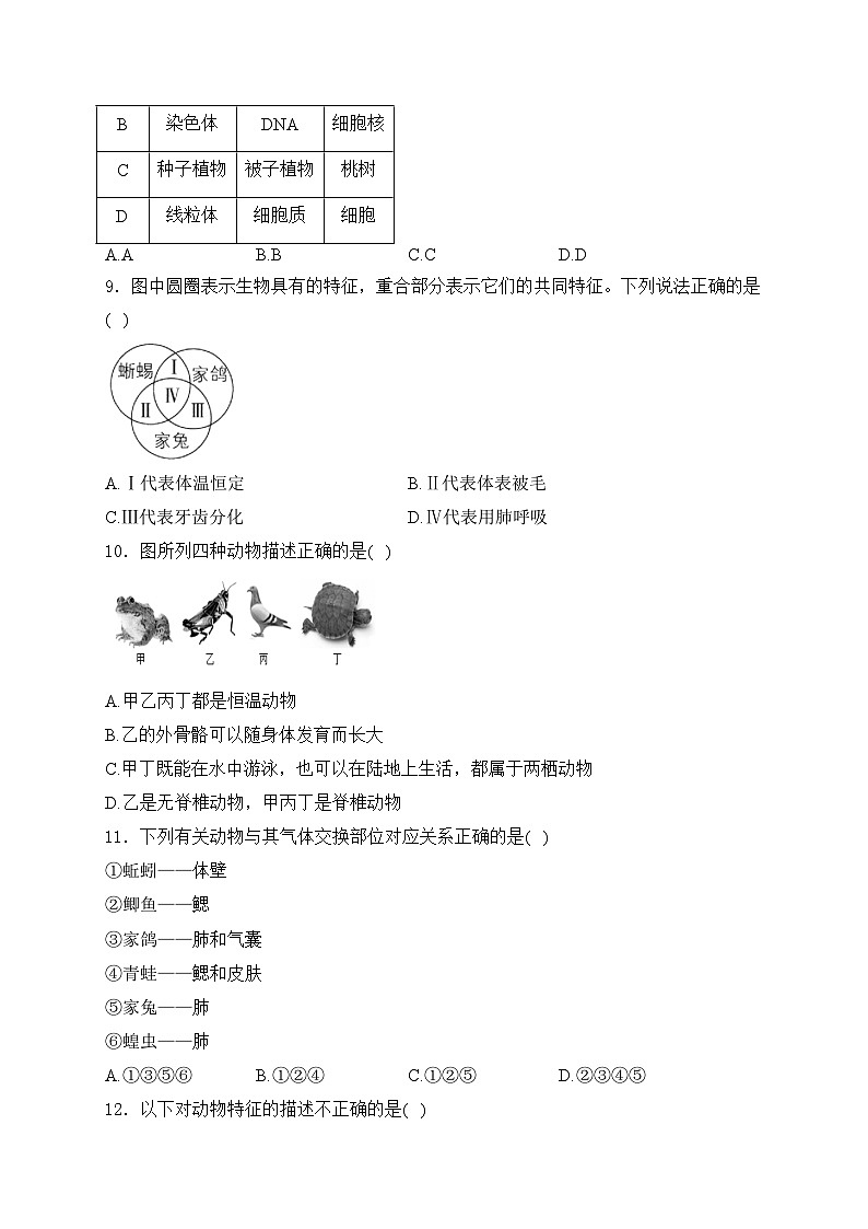 2.4.1 尝试对生物进行分类——人教版（2024）七年级生物上册同步课时作业03