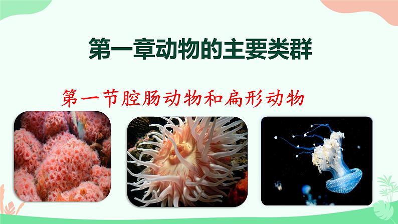 【核心素养】人教版初中生物八年级上册5.1.1《腔肠动物和扁形动物》课件＋课时练习＋教案（含教学反思）01