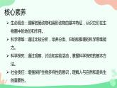 【核心素养】人教版初中生物八年级上册5.1.1《腔肠动物和扁形动物》课件＋课时练习＋教案（含教学反思）