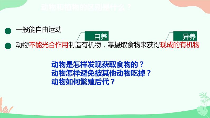 【核心素养】人教版初中生物八年级上册5.1.1《腔肠动物和扁形动物》课件＋课时练习＋教案（含教学反思）04