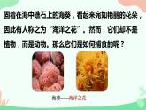 【核心素养】人教版初中生物八年级上册5.1.1《腔肠动物和扁形动物》课件＋课时练习＋教案（含教学反思）