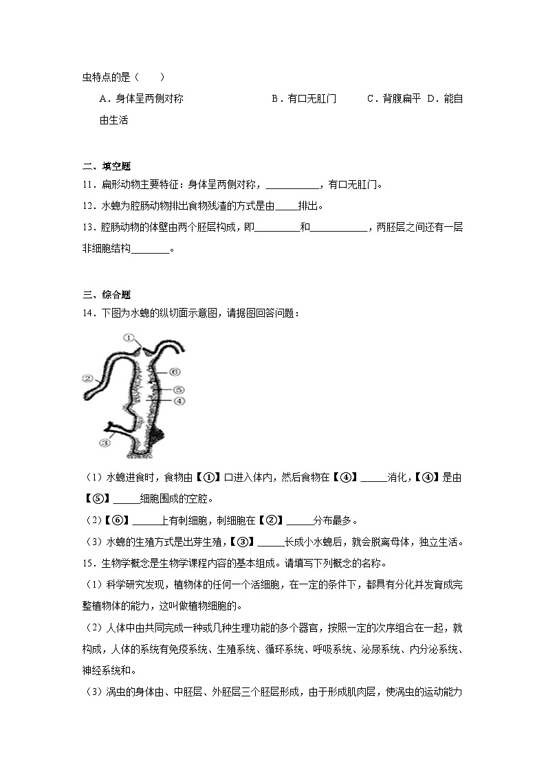 【核心素养】人教版初中生物八年级上册5.1.1《腔肠动物和扁形动物》课件＋课时练习＋教案（含教学反思）02