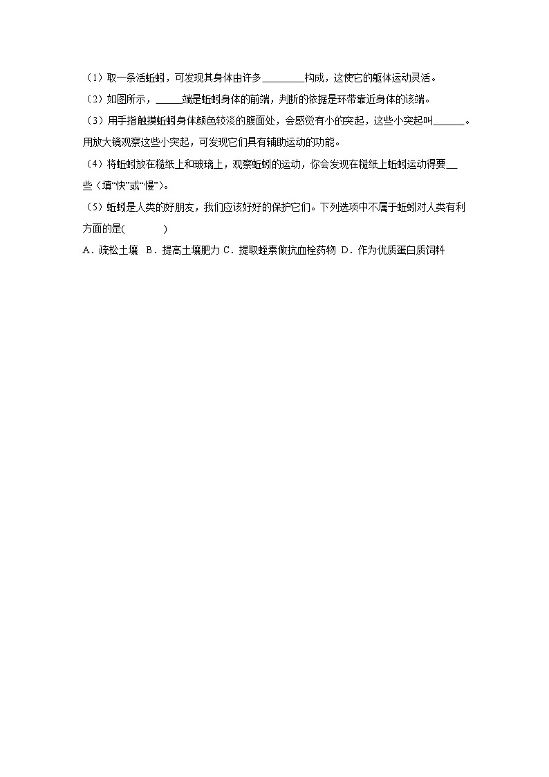 【核心素养】人教版初中生物八年级上册5.1.2《线形动物和环节动物》课件＋课时练习＋教案（含教学反思）03