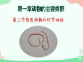 【核心素养】人教版初中生物八年级上册5.1.2《线形动物和环节动物》课件＋课时练习＋教案（含教学反思）