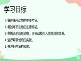 【核心素养】人教版初中生物八年级上册5.1.2《线形动物和环节动物》课件＋课时练习＋教案（含教学反思）