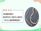 【核心素养】人教版初中生物八年级上册5.1.2《线形动物和环节动物》课件＋课时练习＋教案（含教学反思）