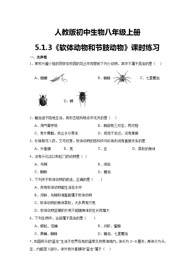人教版初中生物八年级上册5.1.3《软体动物和节肢动物》课时练习第1页