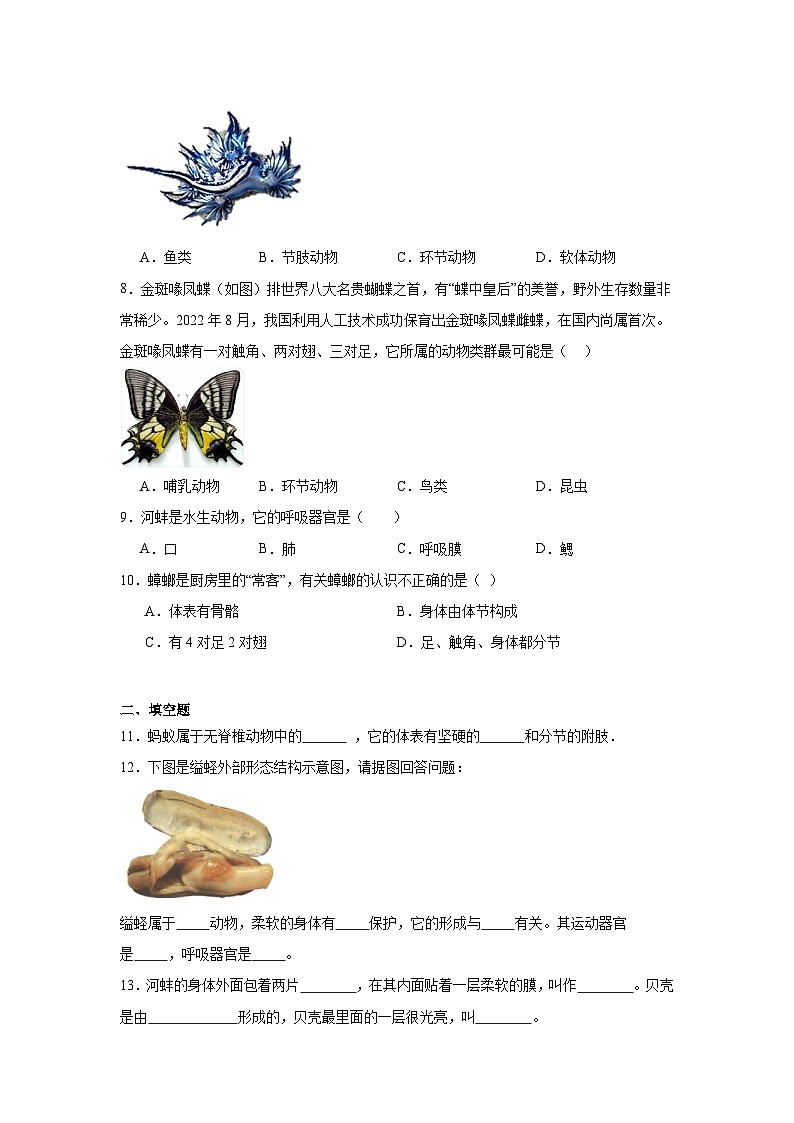 人教版初中生物八年级上册5.1.3《软体动物和节肢动物》课时练习第2页