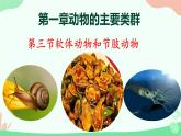 【核心素养】人教版初中生物八年级上册5.1.3《软体动物和节肢动物》课件＋课时练习＋教案（含教学反思）