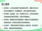 【核心素养】人教版初中生物八年级上册5.1.3《软体动物和节肢动物》课件＋课时练习＋教案（含教学反思）