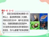 【核心素养】人教版初中生物八年级上册5.1.3《软体动物和节肢动物》课件＋课时练习＋教案（含教学反思）