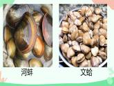 【核心素养】人教版初中生物八年级上册5.1.3《软体动物和节肢动物》课件＋课时练习＋教案（含教学反思）