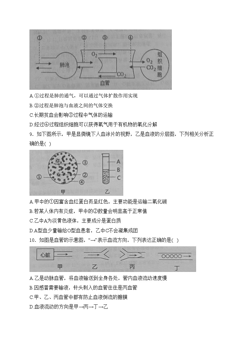 山东省德州市武城县2023-2024学年七年级下学期期末考试生物试卷(含答案)03