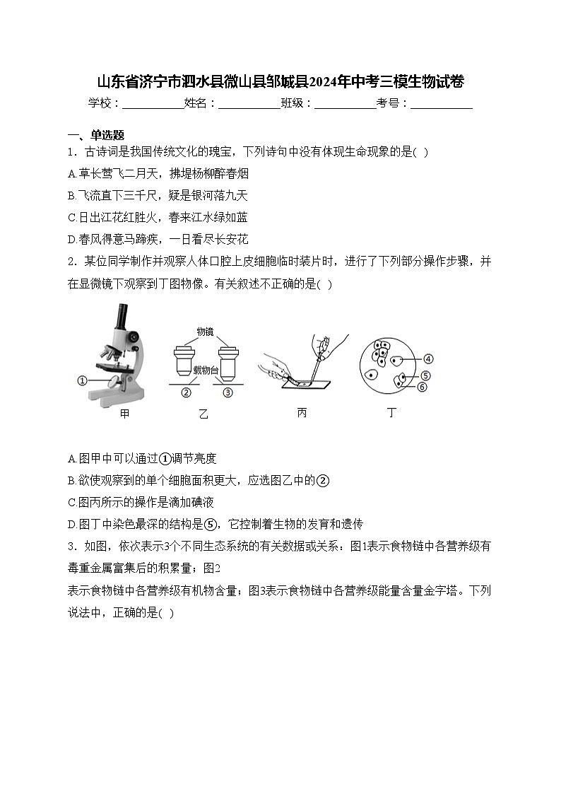 山东省济宁市泗水县微山县邹城县2024年中考三模生物试卷(含答案)01