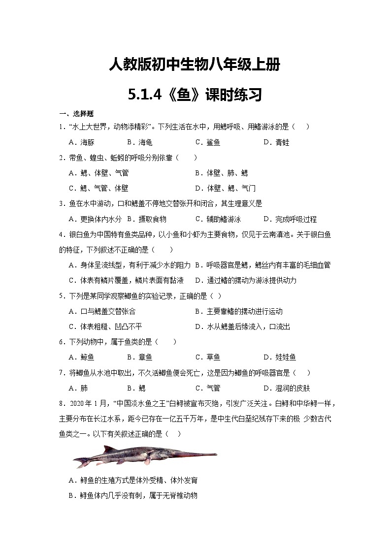 【核心素养】人教版初中生物八年级上册5.1.4《鱼》课件＋课时练习＋教案（含教学反思）01