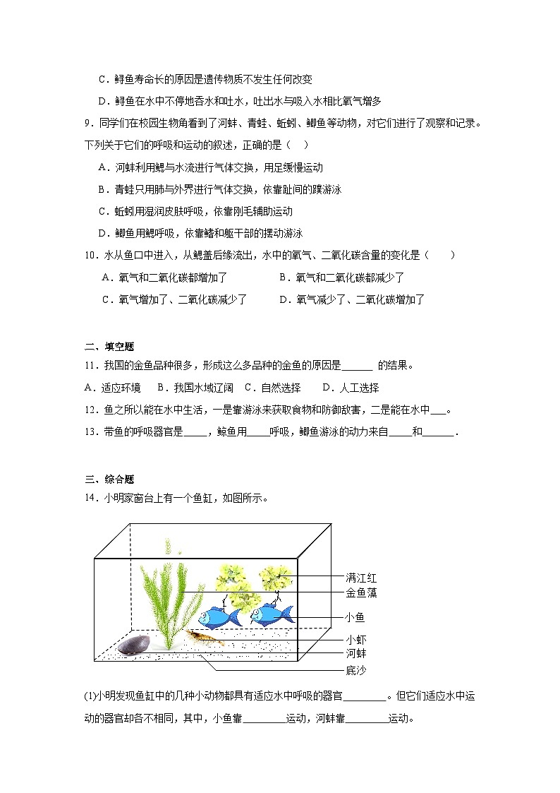 【核心素养】人教版初中生物八年级上册5.1.4《鱼》课件＋课时练习＋教案（含教学反思）02