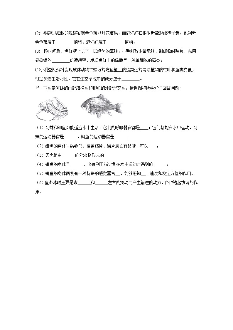 【核心素养】人教版初中生物八年级上册5.1.4《鱼》课件＋课时练习＋教案（含教学反思）03
