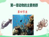 【核心素养】人教版初中生物八年级上册5.1.4《鱼》课件＋课时练习＋教案（含教学反思）