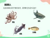 【核心素养】人教版初中生物八年级上册5.1.4《鱼》课件＋课时练习＋教案（含教学反思）