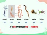 【核心素养】人教版初中生物八年级上册5.1.4《鱼》课件＋课时练习＋教案（含教学反思）