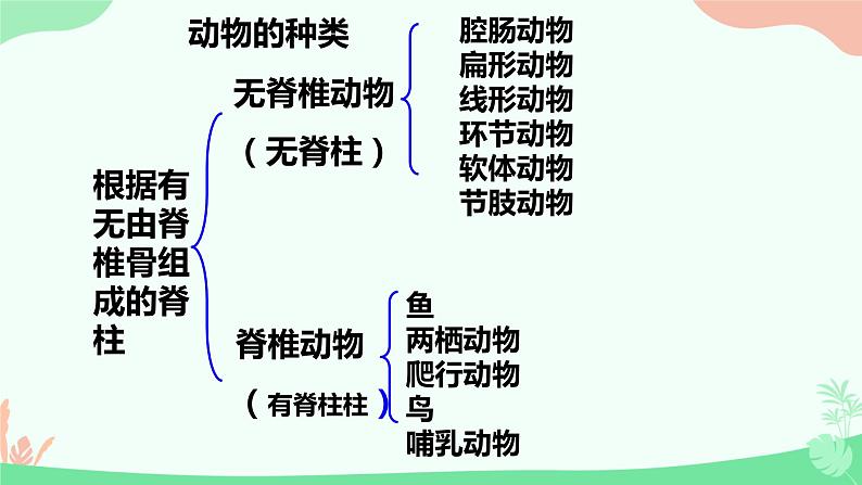 【核心素养】人教版初中生物八年级上册5.1.4《鱼》课件＋课时练习＋教案（含教学反思）07