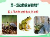 【核心素养】人教版初中生物八年级上册5.1.5《两栖动物和爬行动物》课件＋课时练习＋教案（含教学反思）