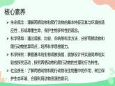【核心素养】人教版初中生物八年级上册5.1.5《两栖动物和爬行动物》课件＋课时练习＋教案（含教学反思）
