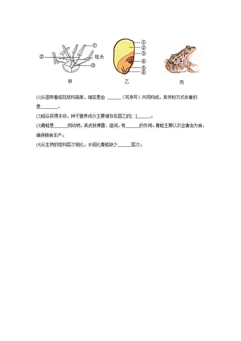 人教版初中生物八年级上册5.1.5《两栖动物和爬行动物》课时练习第3页
