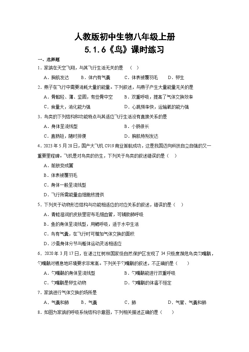 【核心素养】人教版初中生物八年级上册5.1.6《鸟》课件＋课时练习＋教案（含教学反思）01
