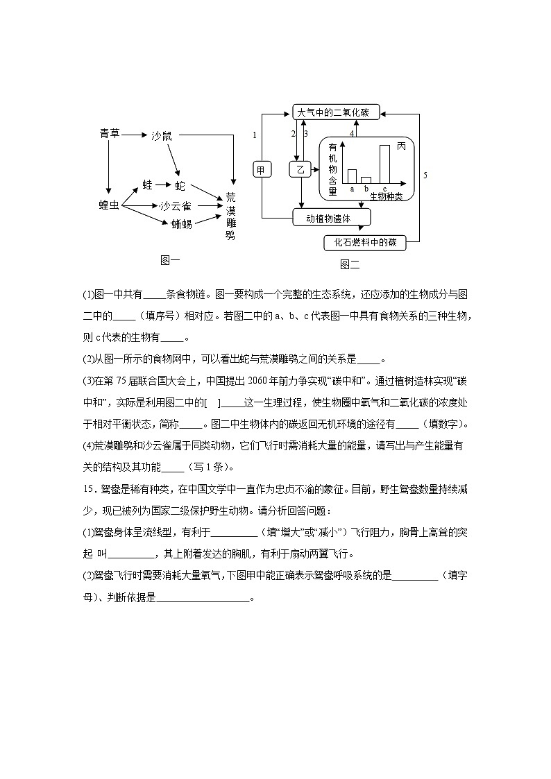 【核心素养】人教版初中生物八年级上册5.1.6《鸟》课件＋课时练习＋教案（含教学反思）03