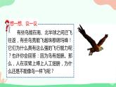 【核心素养】人教版初中生物八年级上册5.1.6《鸟》课件＋课时练习＋教案（含教学反思）