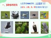 【核心素养】人教版初中生物八年级上册5.1.6《鸟》课件＋课时练习＋教案（含教学反思）