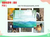 【核心素养】人教版初中生物八年级上册5.1.6《鸟》课件＋课时练习＋教案（含教学反思）