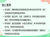 【核心素养】人教版初中生物八年级上册5.2.1《动物的运动》课件＋课时练习＋教案（含教学反思）